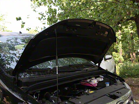 2025�� 1.5T �ֶ����ʰ� 7/8��