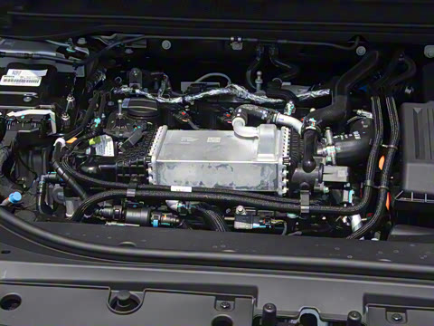 2025�� 260������������