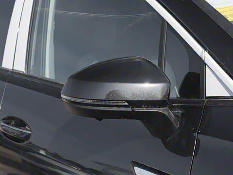 2025�� 530TSI �����콢ʤ��Pro ������ 6��