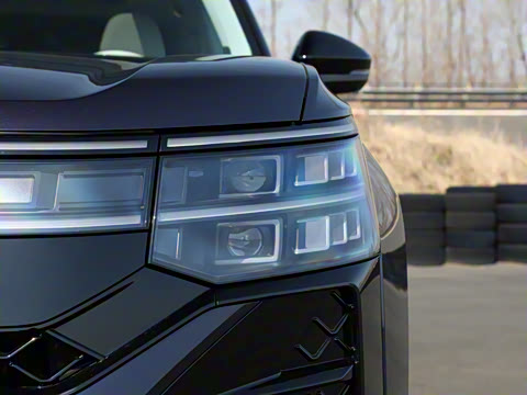 2025�� ;�� Pro 450TSI �����ݺ��