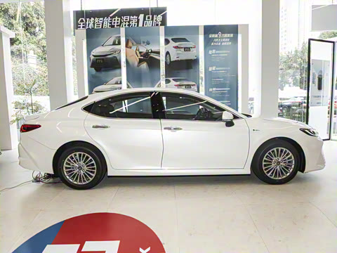 2024�� ˫�� 2.0HGVP ������