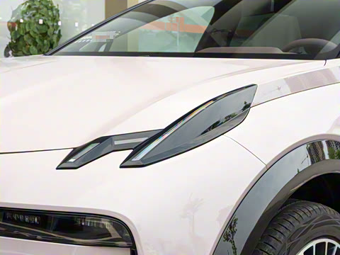 2025�� ��������ħ����