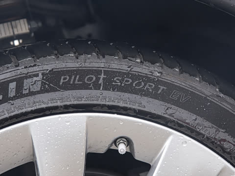 2025�� ����������