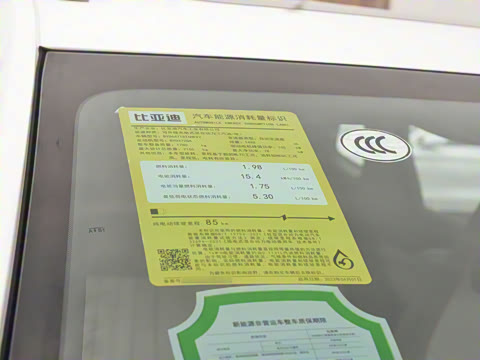 2024�� ��ҫ�� DM-i 110KM׿Խ��