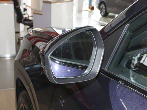 2025�� ;�� Pro 450TSI �����Ƿ��