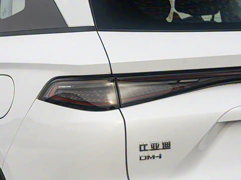 2025�� DM-i �Ǽݰ� 115KM�콢��