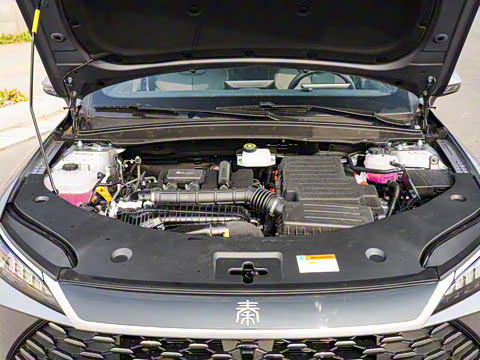 2025�� DM-i �Ǽݰ� 55KM������