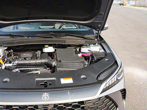 2025�� DM-i �Ǽݰ� 55KM������