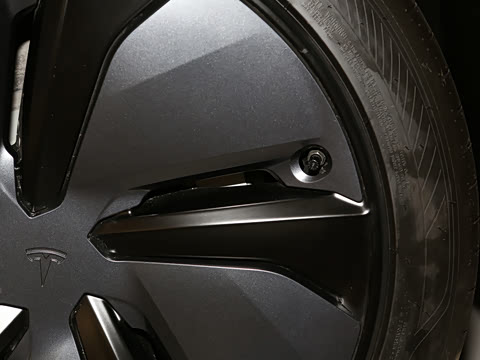 2025�� ����������