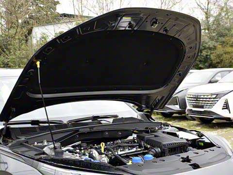 2025�� �ǻ������� 145KM ս����