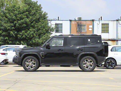 2025�� 2.0TD XWD �Զ�����+