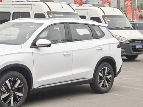 2024�� ��ҫ�� DM-i 110KM��Խ��