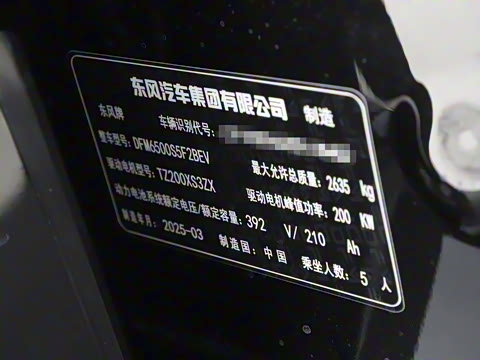 2025�� 636Max���Ȱ� 5��