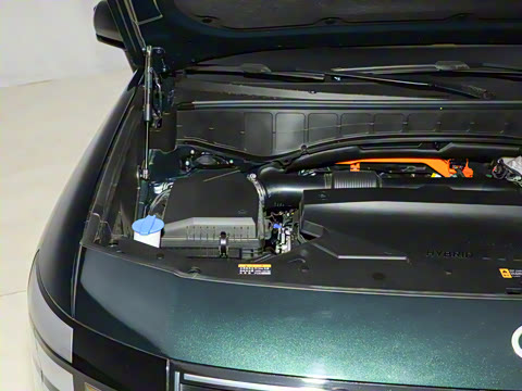 2026�� 2.5T Calligraphy ���ͼ� 6��