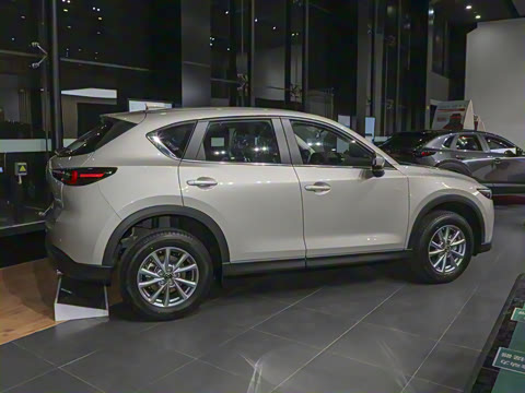 2024�� 2.0L �Զ�����������