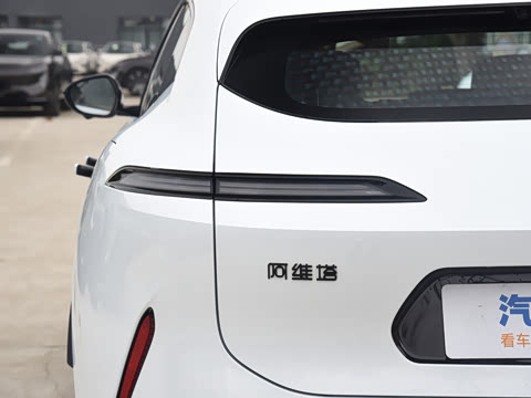 2024�� Max���̰�����