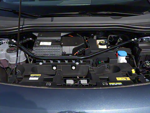 2025�� ������������ʿPRO��