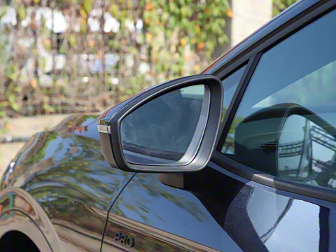 2025�� ������������ʿPRO��