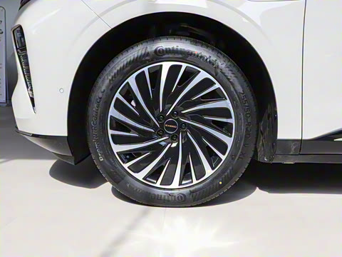 2025�� ���� 265 Pro�������ٸ�����ʻ