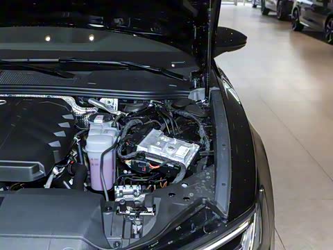 2025�� �Ŀ� 45 TFSI ��ѡ������