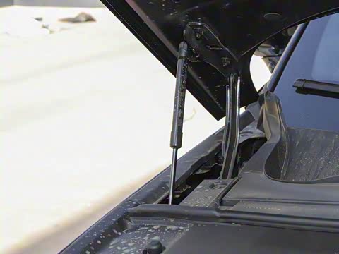 2025�� ���� 265 Pro�������ٸ�����ʻ