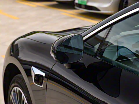 2025�� ���� Max