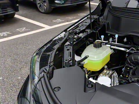 2025�� 165km ������������ 7��