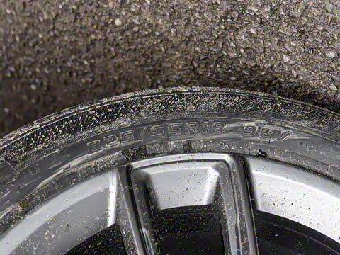 2025�� 165km ������������ 7��