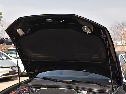 2025�� �Ŀ� 55 TFSI quattro ����������