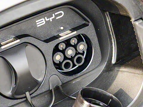 2025�� DM-i �Ǽݰ� 115KM������