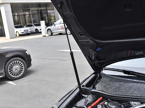 2025�� �Ŀ� 45 TFSI ��ѡ������