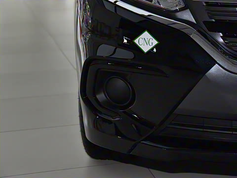 2025�� 2.0L �ֶ�������CNG 7��