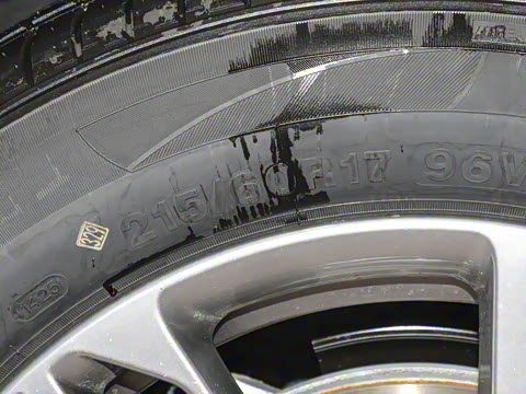 2025�� 565km ������