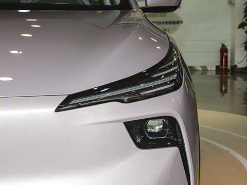 2025�� 565km ������