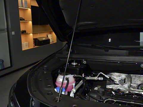 2025�� �ھ��� 1.5T �ֶ��ھ� 7��