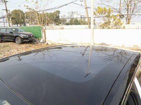 2025�� 530km ����Max