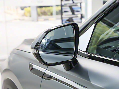 2025�� 100������Plus����