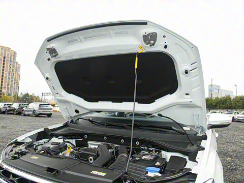 2025�� 300TSI DSG�����ǹ��