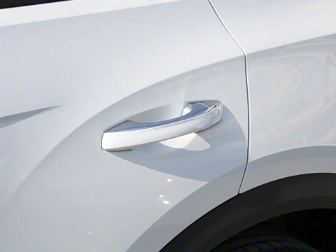 2025�� 300TSI DSG�����ǹ��