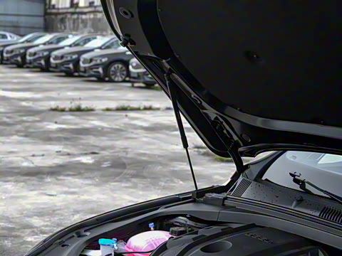 2025�� ������ 2.0TD �񳯰�