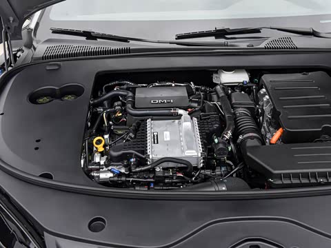 2025�� DM-i �Ǽݰ� 125KM������