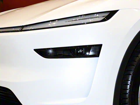 2025�� �������� �׷���