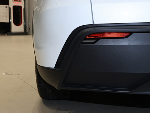 2025�� �������� �׷���