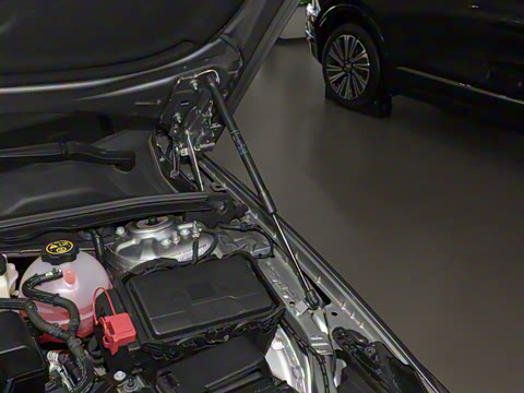 2024�� 28T ������