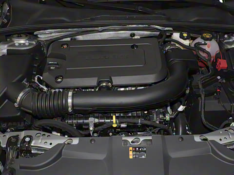 2024�� 28T ������