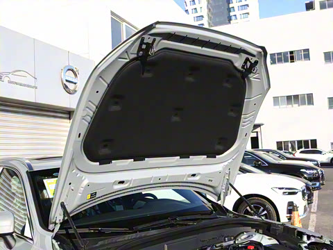 2025�� B5 �������ݺ�����