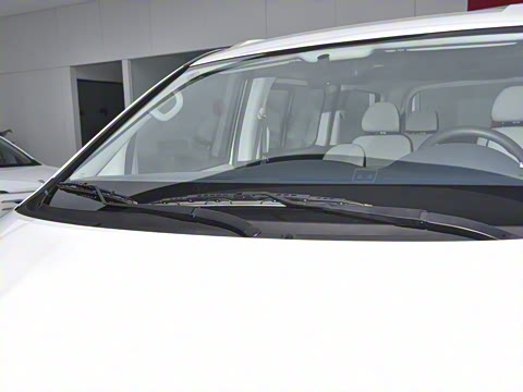 2024�� 2.0L �ֶ�������CNG 7��