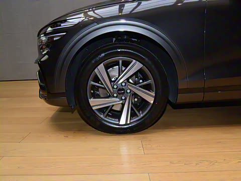 2025�� 2.5T ����������