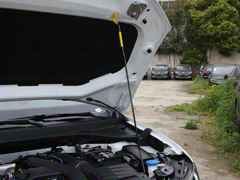 2025�� �Ŀ� 300TSI DSG���������