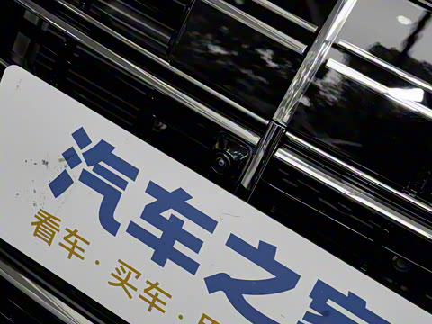 2024�� V 300 L ����������